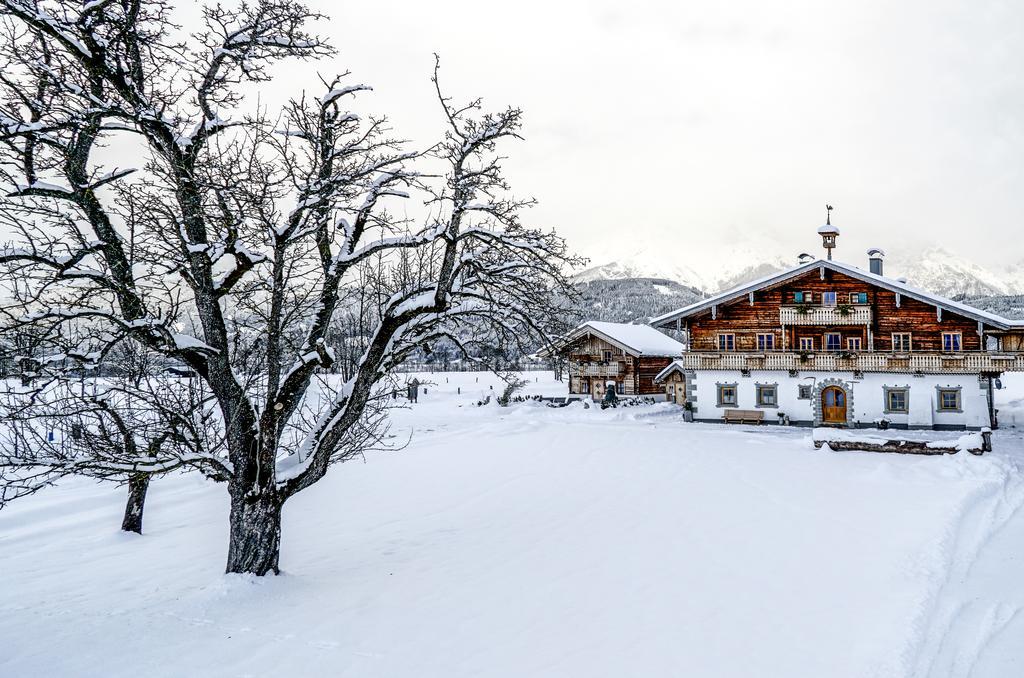 Hoferbichlgut Lägenhet Saalfelden Exteriör bild